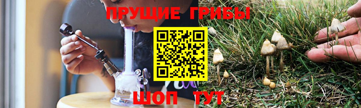 Аша  Псилоцибиновые грибы ЛСД  Галлюциногенные грибы MAGIC MUSHROOMS  Вход с VPN 