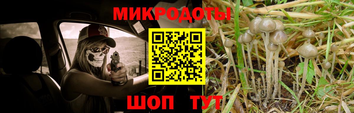 Галлюциногенные грибы Psilocybine cubensis Аша